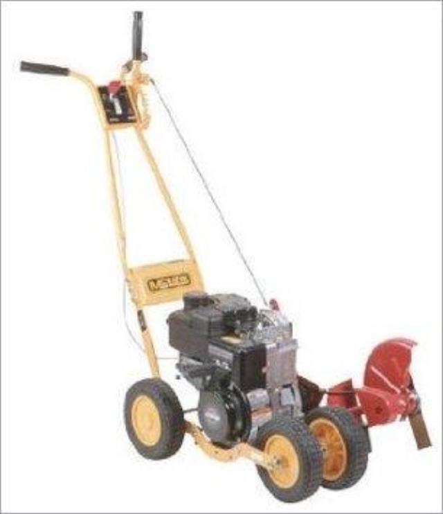 Rental store for LAWN EDGER, GAS in Chicago IL